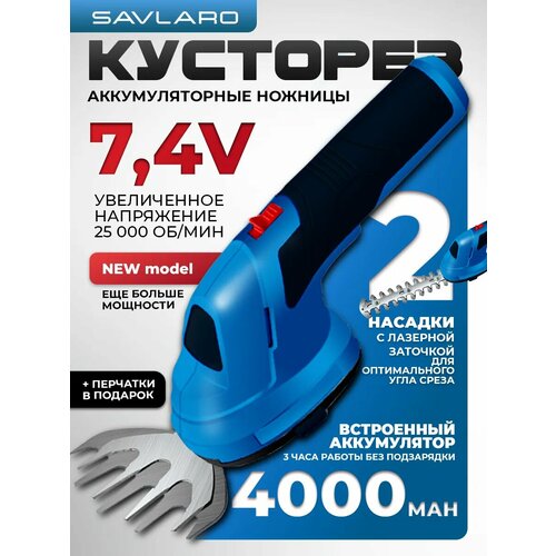 ���� �������� Savlaro, ��������������, �������, 2 ������, 7,4 �, ���������� ���