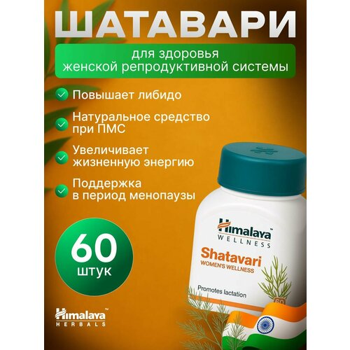 ���� �������� (Shatavari) ��� ������, 60 ���