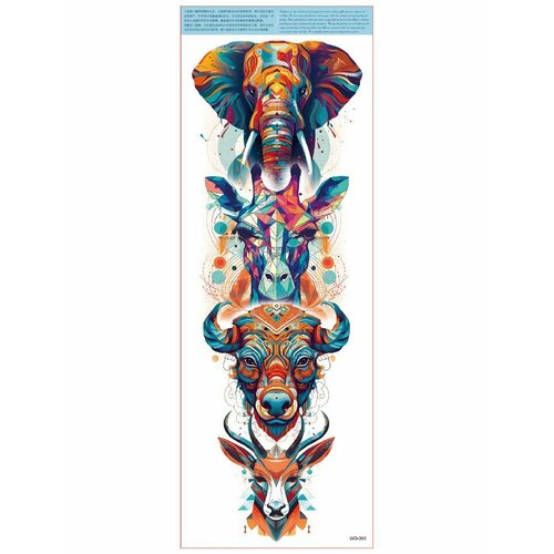 ���� ���������� ��������� ���� ����� �� �������� / 45 � 17 �� ����