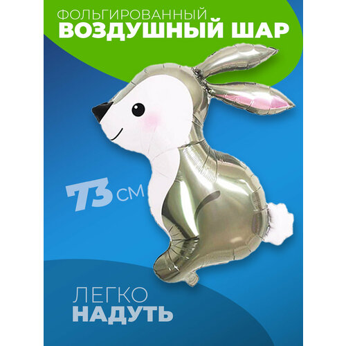 ���� ����� � ������