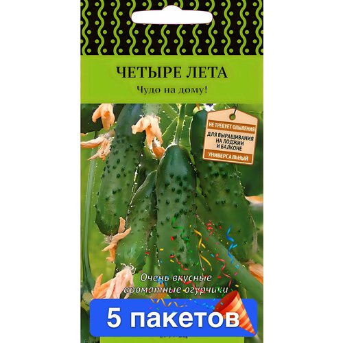 ���� ������ ������ ����� 