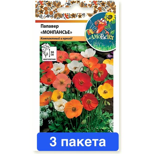 ���� ������ ������ ������� ������ 