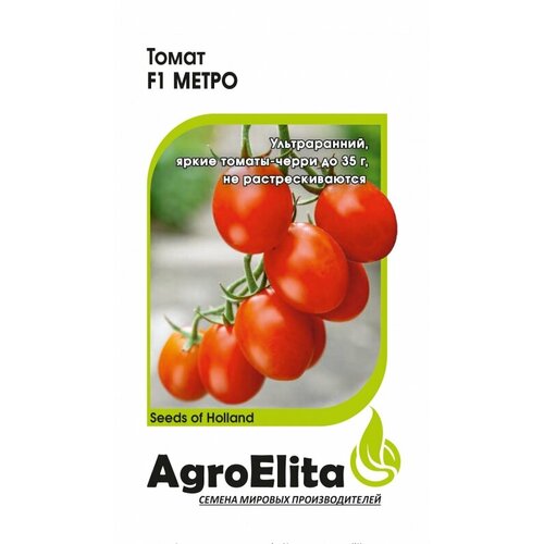 ���� ������ ����� ����� F1 ����� 5�� ��� ������ ������ (���������) ���������