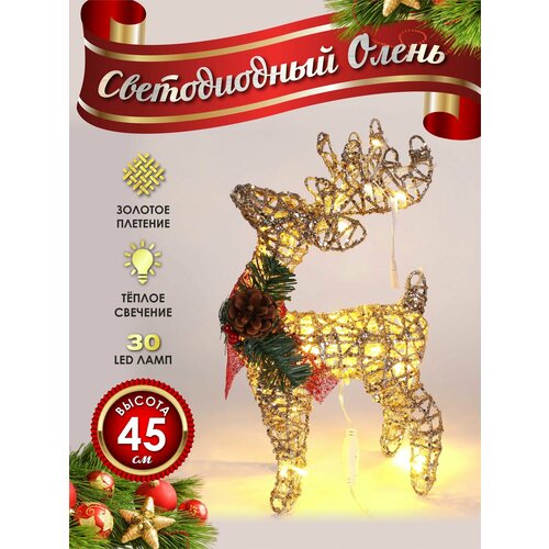 ���� ����� ���������� ������������ ���������� 40 �� �������