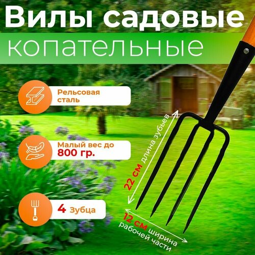 ���� ���� ����������� ������� 4 ���� ����������, ����� ����� 22��, � �������� ��� �������� � ����������� �����