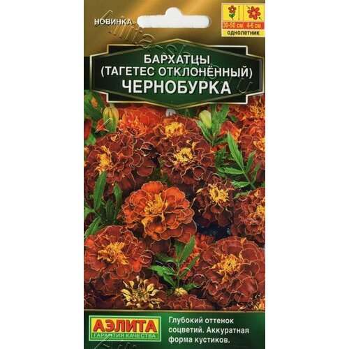 ���� �������� ���������� �����������