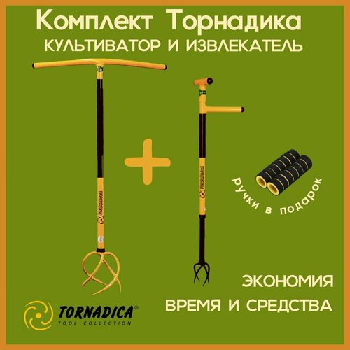 ���� �������� ��������� (Tornadica) ����������� � �������� � ����������� ��������