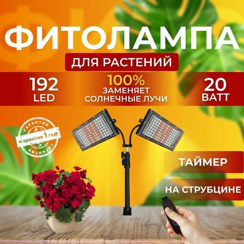                  20  192 LED  -     , -,   