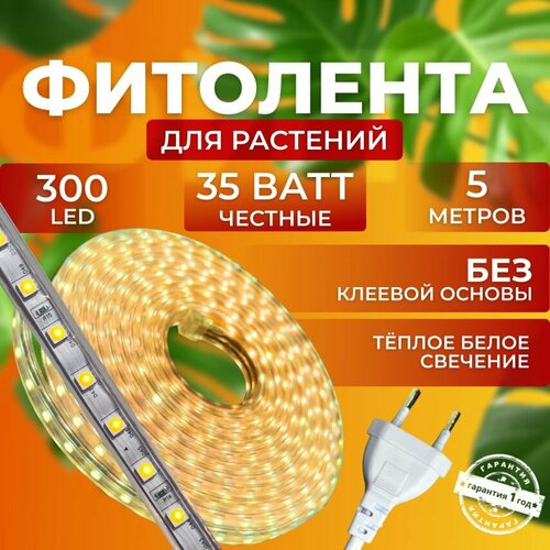                 300 LED, 35  5   -     , -  