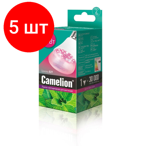    5 ,     Camelion LED10-PL  -     , -,   