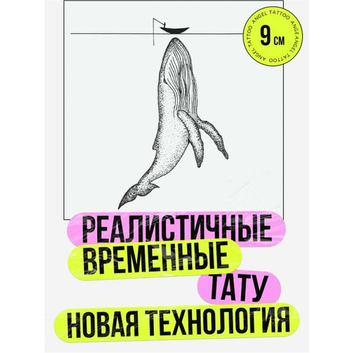 ���� ���� ���������� �������������� �������� ���