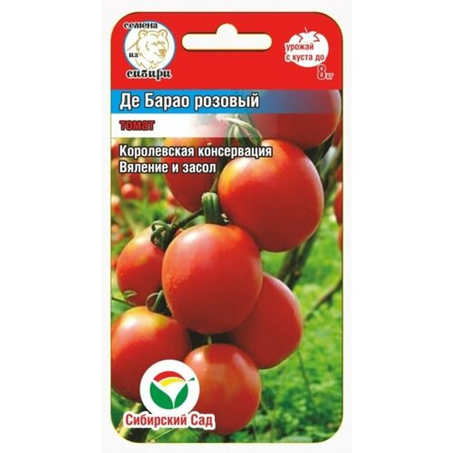 ���� ������ ����� �� ����� ������� 20�� ����� (��������� ���)