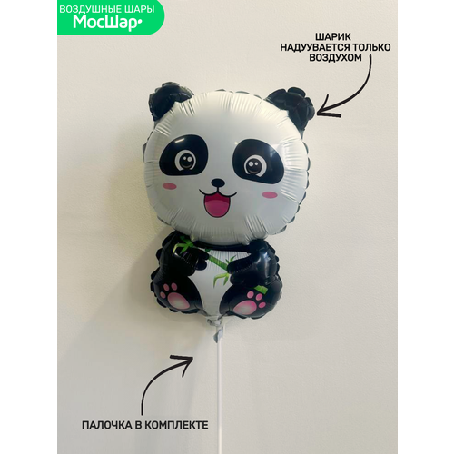 ���� ��� �� ������� ���� ������ �����