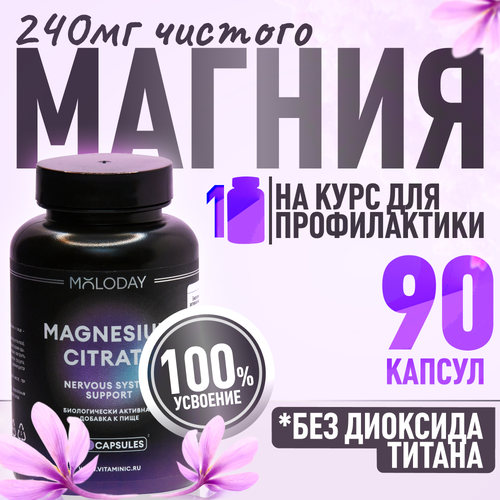 ���� ������ ������ �������������� �� �������, MOLODAY 90 ������