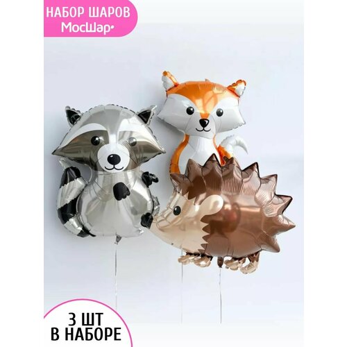 ���� ����� �������������� ����� ������ �����