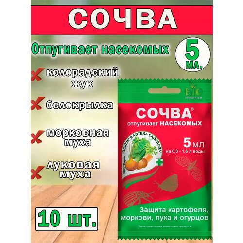 ���� �������� �� ���������� ����� 5��