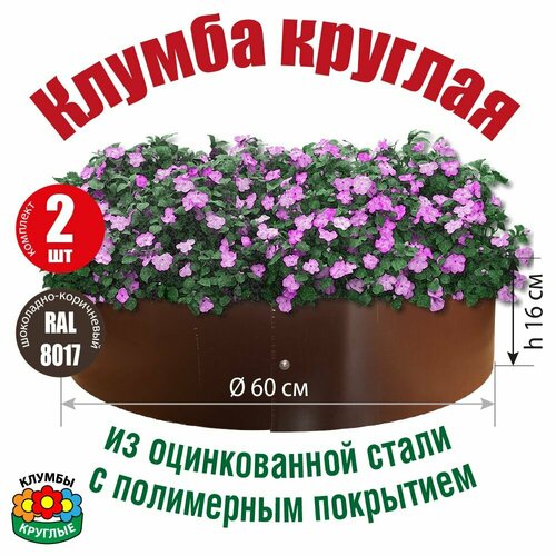 ���� ������ ������� ��� ������ ����������� ������������ ������� / ���������� ��� ������� ������