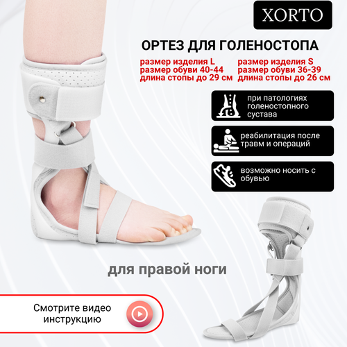 ���� ����� �� ������������� ������, ������ ����������������� ��� �����������, ������������� ����� ��������������, ������������ ����� ����� � ��������