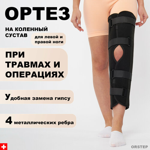 ���� ����� �� �������� ������ / ����� �� ������. L