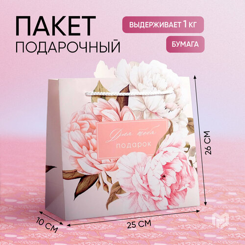 ���� ����� ���������� ���� ���� �������, 25 ? 26 ? 10 ��