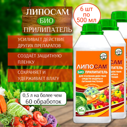 ���� ��������� ����������� ������� 500 ��, 6 ��