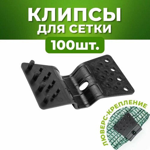 ���� ������ ��� ����� ����������, ������ ��� ���������� ����� 100 ��