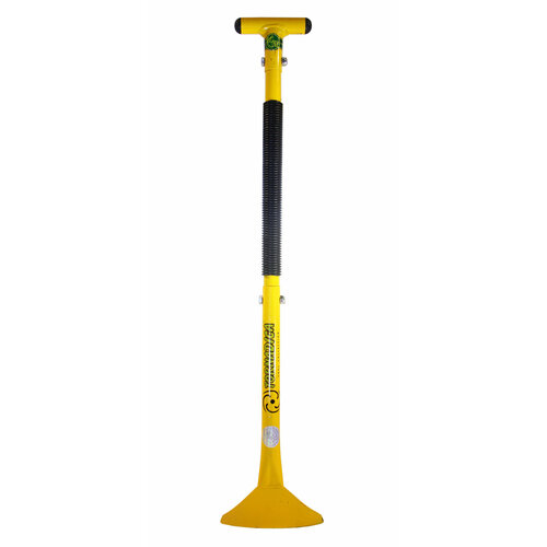 ���� ������� ������� ��������� (������������ ������)