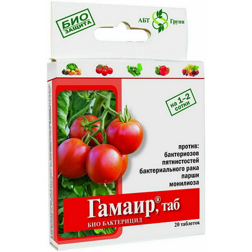 ���� ������, ��� (20 ��������) ��� ������