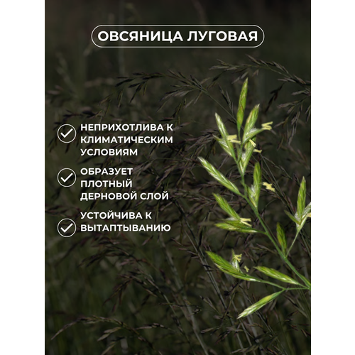 ���� �������� ����� ������ �������� ������� 10��, ������� ����