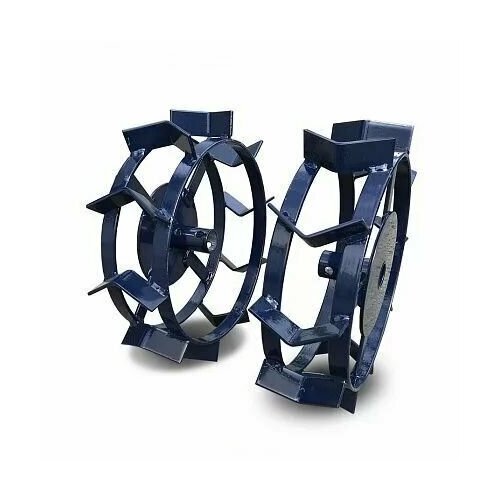 ���� ������ 