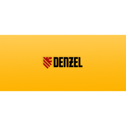    DENZEL DPT-670S-PRO  -     , -  