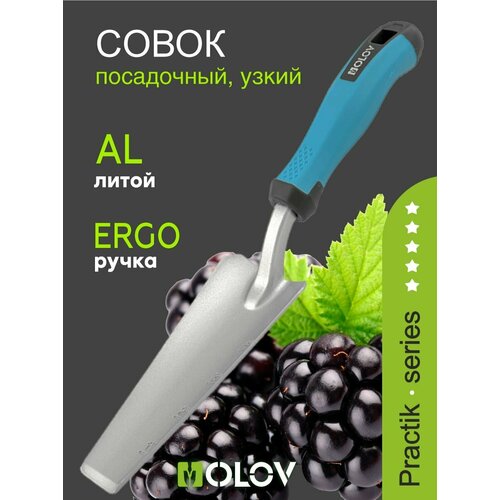 ���� ����� ������� `OLOV �������` �������������, ����������, �����