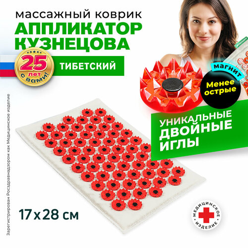 ���� ����������� ��������� ��������� ������ ��������� ���������� ��������� �� ������ �������� ��09  (����� ������ ����, ��������� �������) 28x17x10  ��, �������