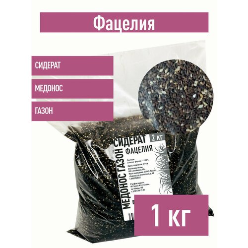 ���� ������� ������, 1 �� ������� ������� �����