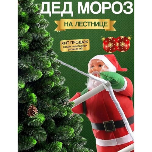 ���� ���������� ����������� ��� ����� �� �������� , ���������� ��������� �� ����, �����, ����, ����� 2025 ���,50 ��