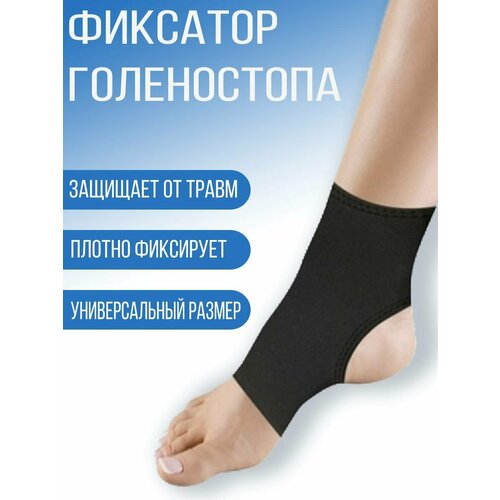 ���� �������� �����������, ������, �������, �����, �������������, ������