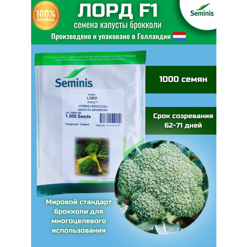    F1 -   , 1 000 , SEMINIS/ ()  -     , -,   