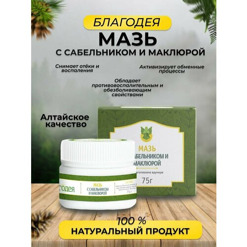 ���� ���� � ����������� � �������� ��������-����� 75 ��