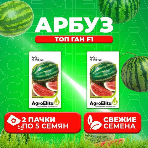     F1, 5, AgroElita (2 )