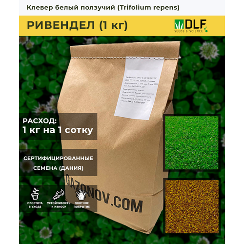 ���� ������ ������ ������ ����� �������� (1 ��)