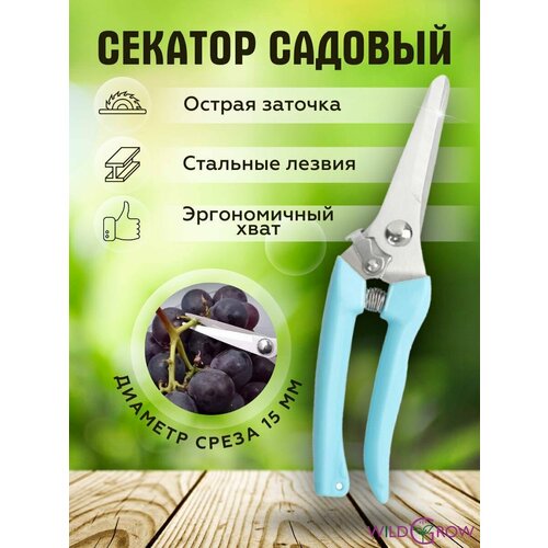 ���� W-GROW ������� ������� ��� ����, ������ � ��������� ��������