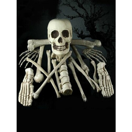 ���� ����� ������� �� �������� ��������� ����� ������