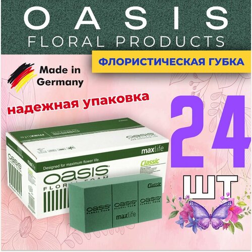 ���� �������������� �����, ��� ������, �������, ����� 24 ��