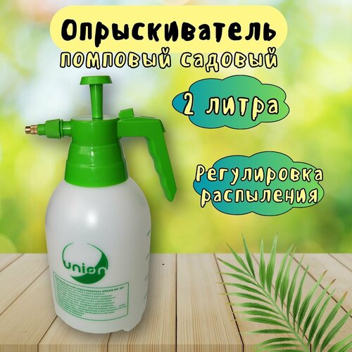 ���� ������������� �������� ������ 2 �����
