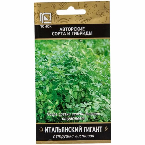 ���� ������ ����� �������� ����������� ������ 3 �