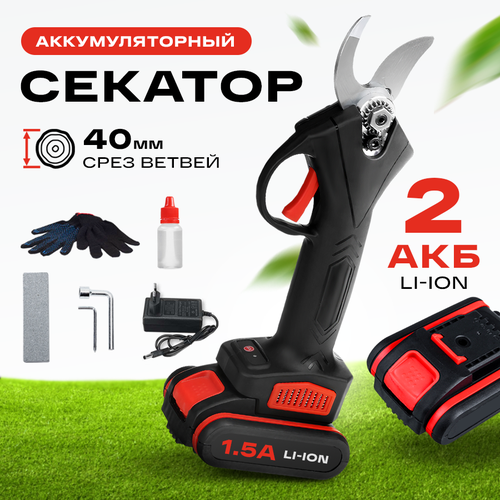 ���� ������� �������������� ������� ������, � 2 ���, � ������ � ����������, �������������� ������� �������