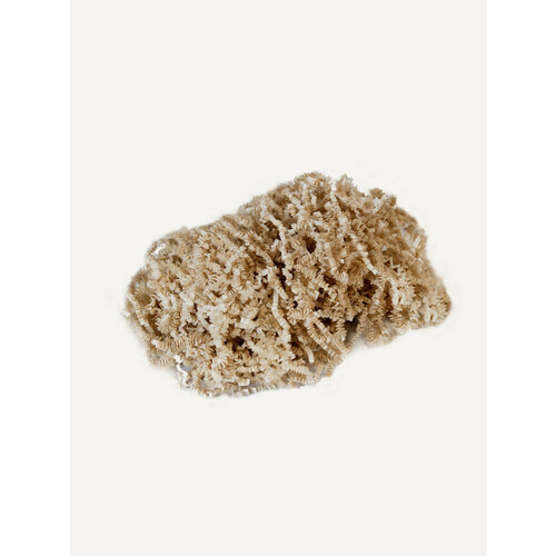 ���� ������� �������� ����������� 50�, ��������, ��������. �������, �������� �������, ��� �����������