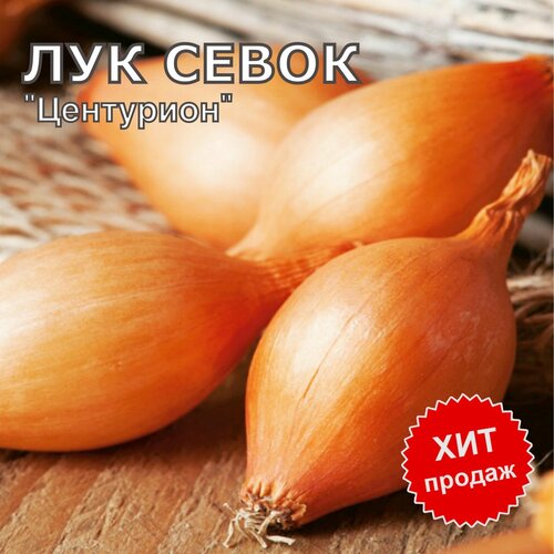 ���� ��� ����� ������ �� ������� ��������� 1��