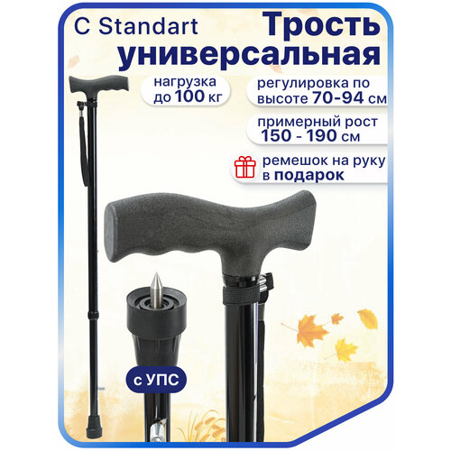 ���� ������ ������� C Standart c ���������������� �������� Ice Tip, ������