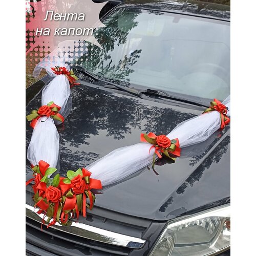 ���� ��������� ����� �� ������ . ��������� �� ��������� ����������.